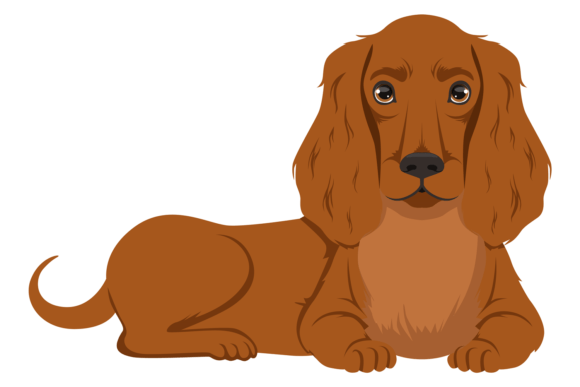 Lying Setter Graphic for Bloggers and Publishers